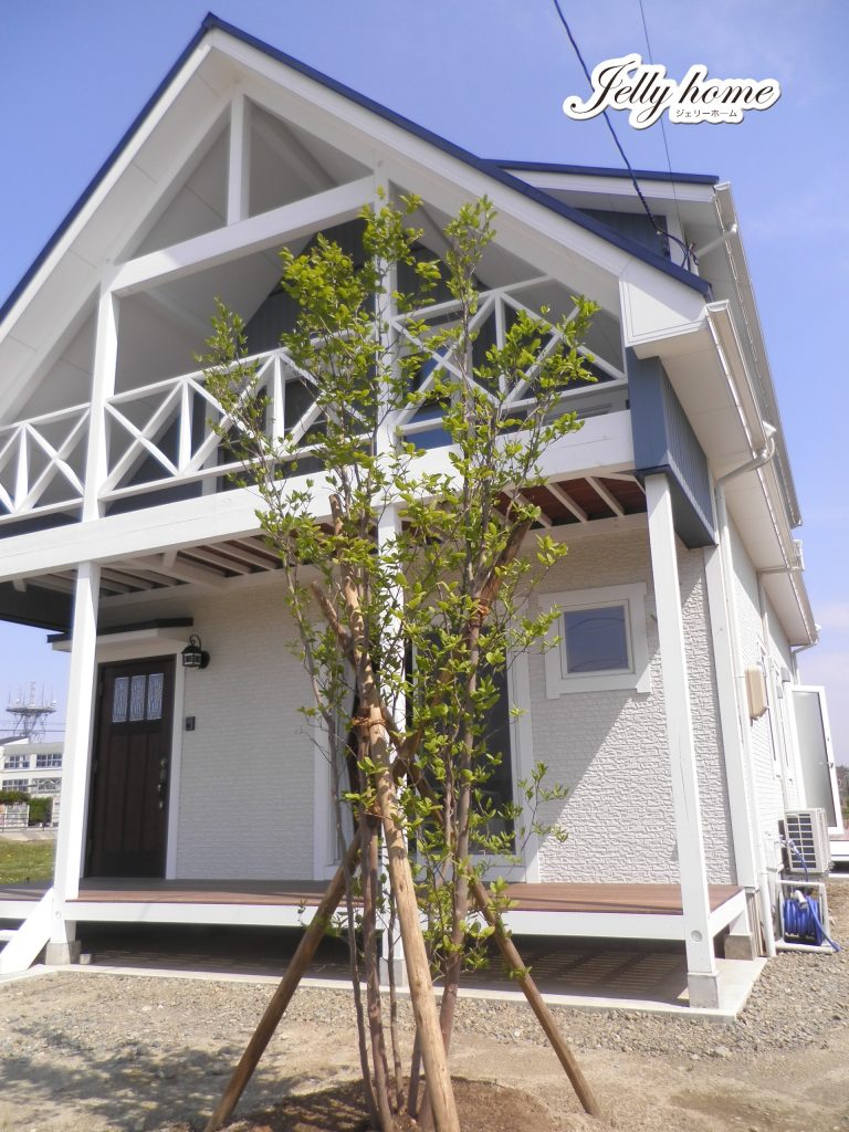 菜の花畑と北欧スタイルの家