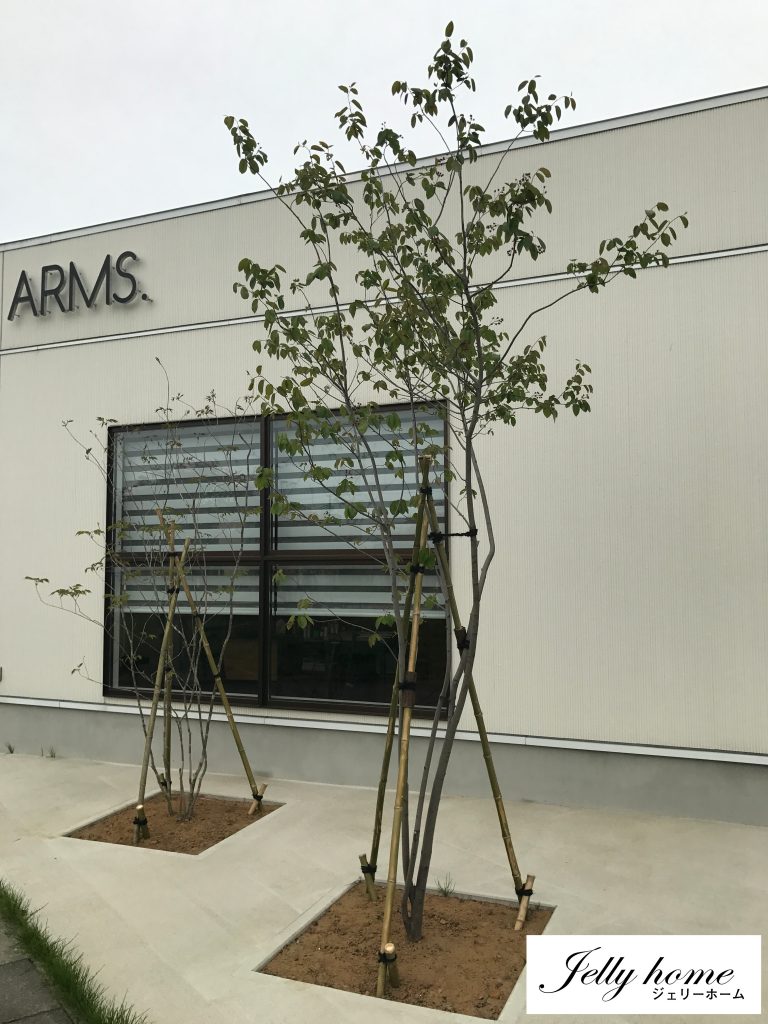 「ARMS」さんの植栽
