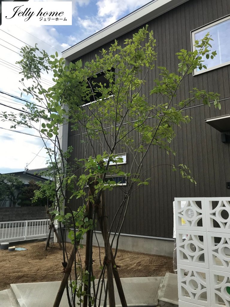 植栽工事が終わり、更にこの家の価値は高まった！