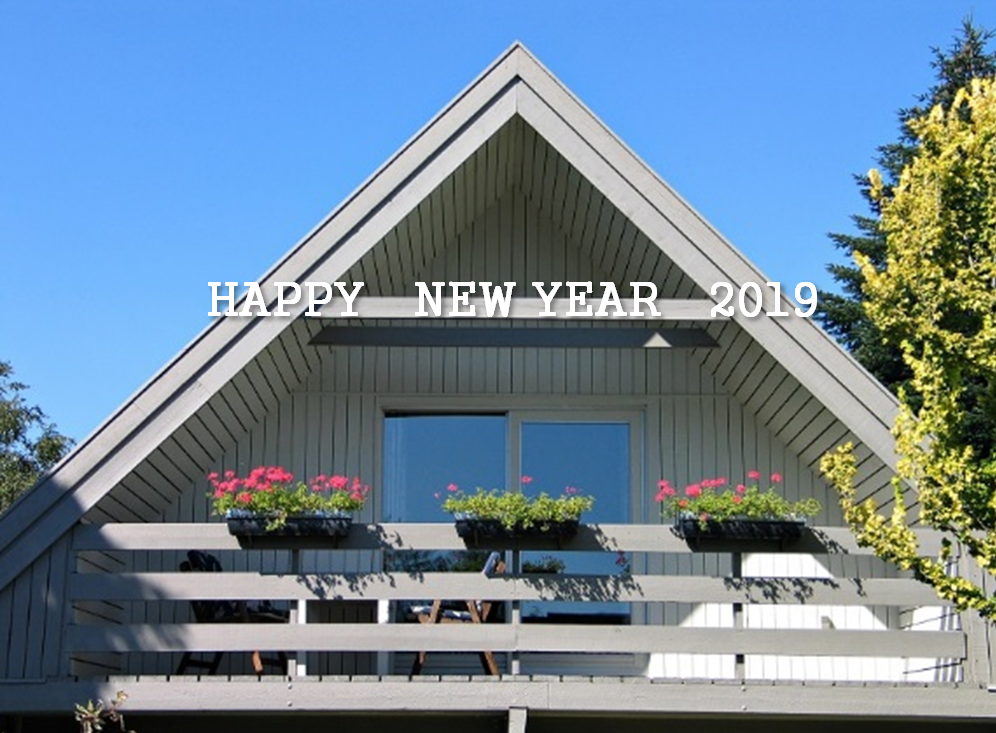 HAPPY  NEW  YEAR  2019