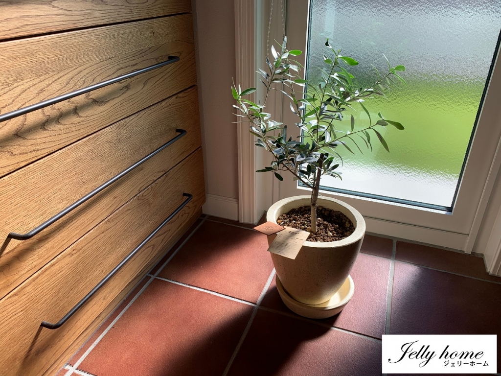 お気に入りの鉢植え