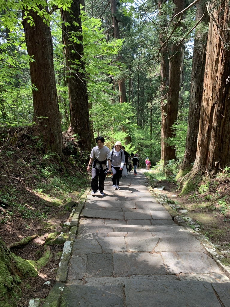 羽黒山の石段2446段にチャレンジして来ました！